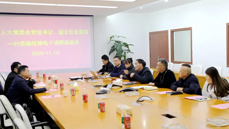 郴州市人大常委會黨組書記、副主任張愛國到炬神電子調研安全生產工作